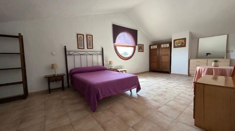 Foto 5 de Casa o xalet de lloguer a Peña de las Águilas, Elche / Elx