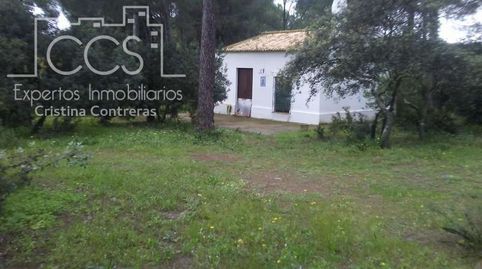 Venta de finca EN PROPIEDAD de 2.5Ha con vivienda de 80m2 construídos, en Almonte Huelva., immagine 3