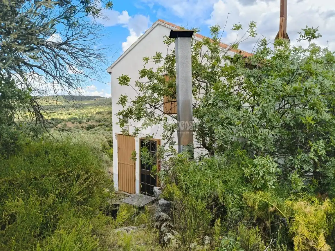 Vista exterior de Finca rústica en venda en San Martín de Pusa amb Moblat i Balcó