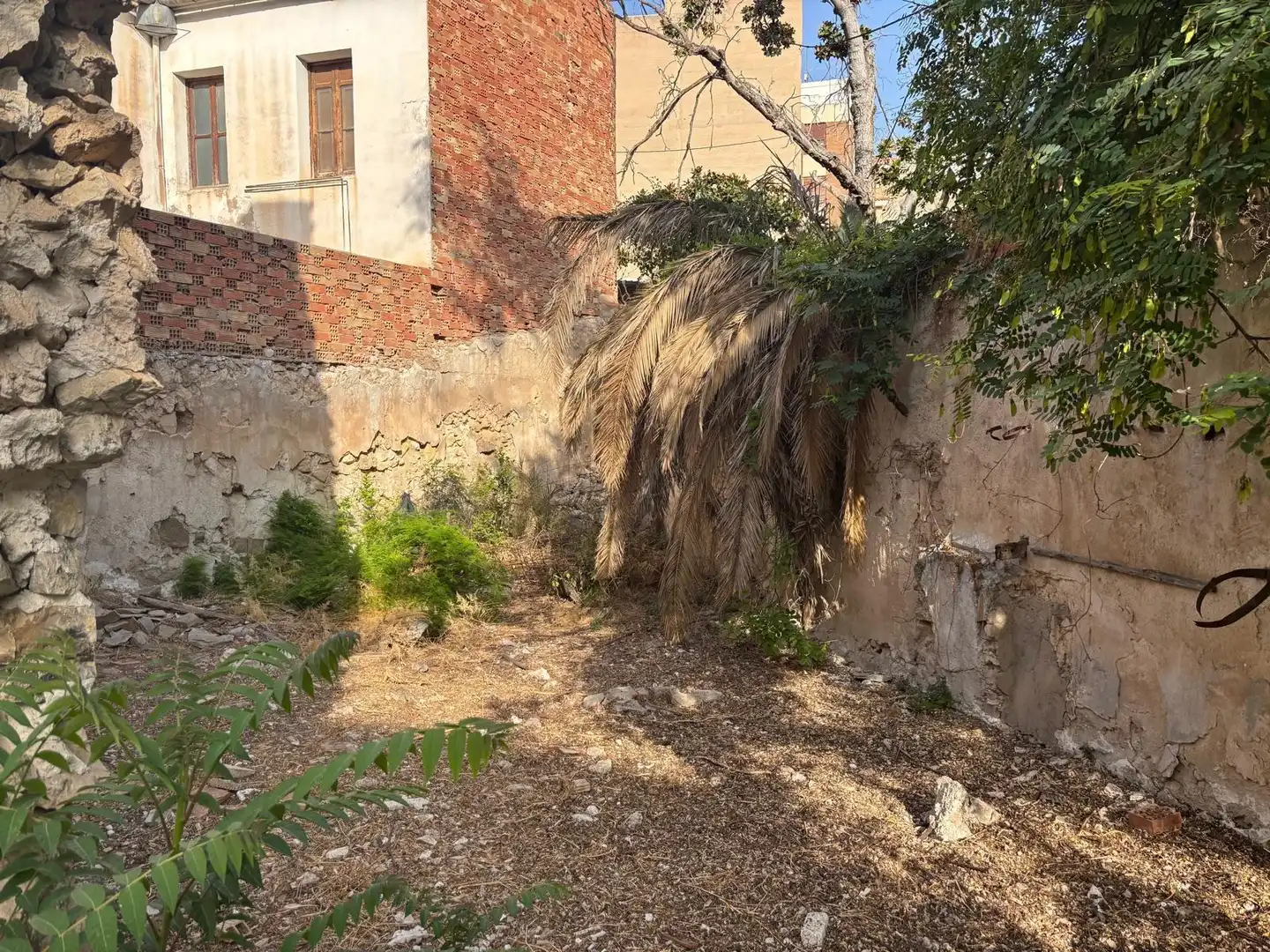 Terreny rústic en venda a Aspe Centro, imagen 4