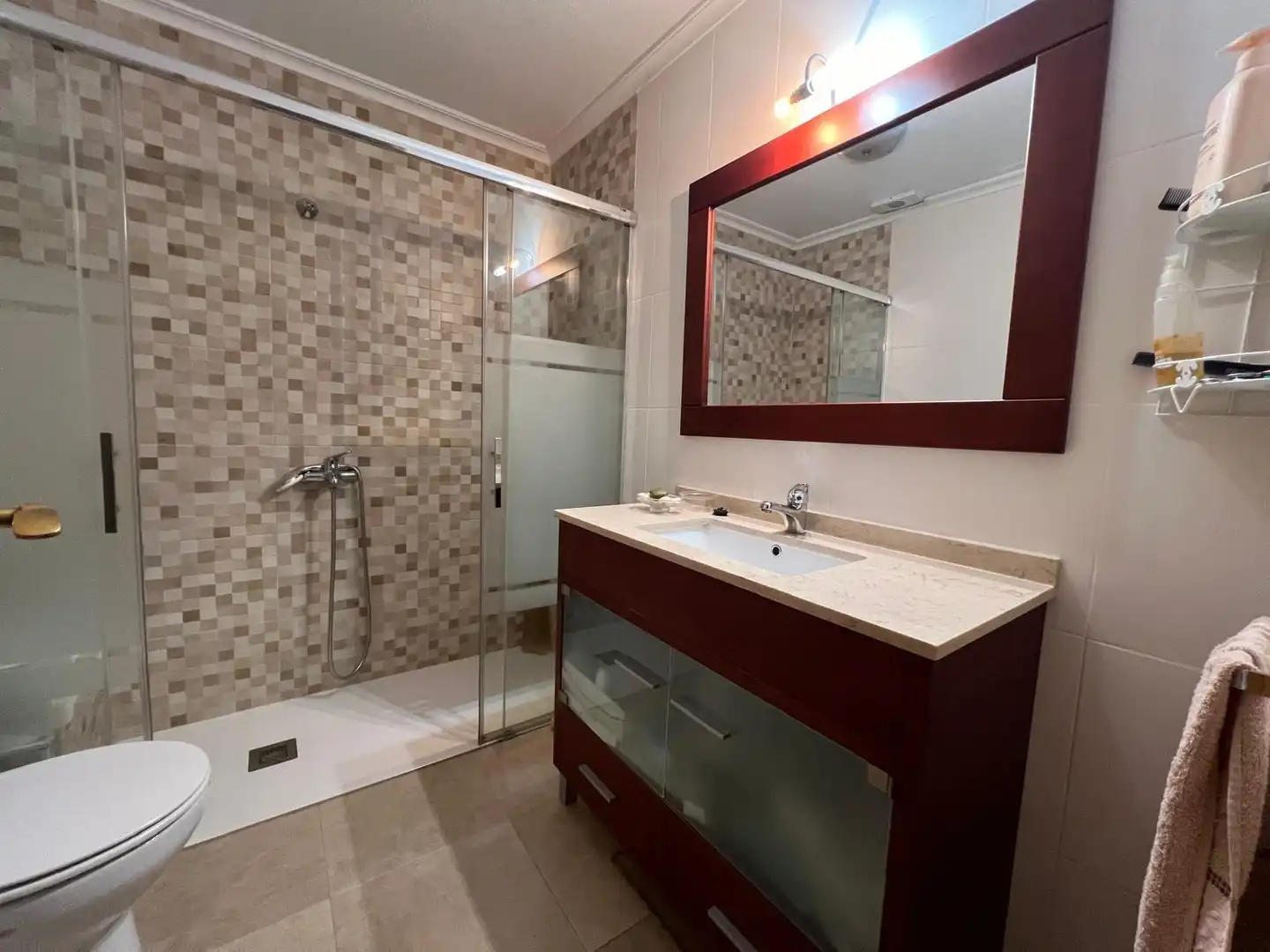 Bathroom of Flat for sale in Elche / Elx  with Terrace
