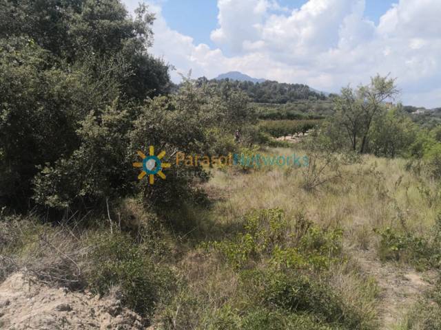 Terreno en Venta en Avinguda dels Castellons en Castelló de Rugat