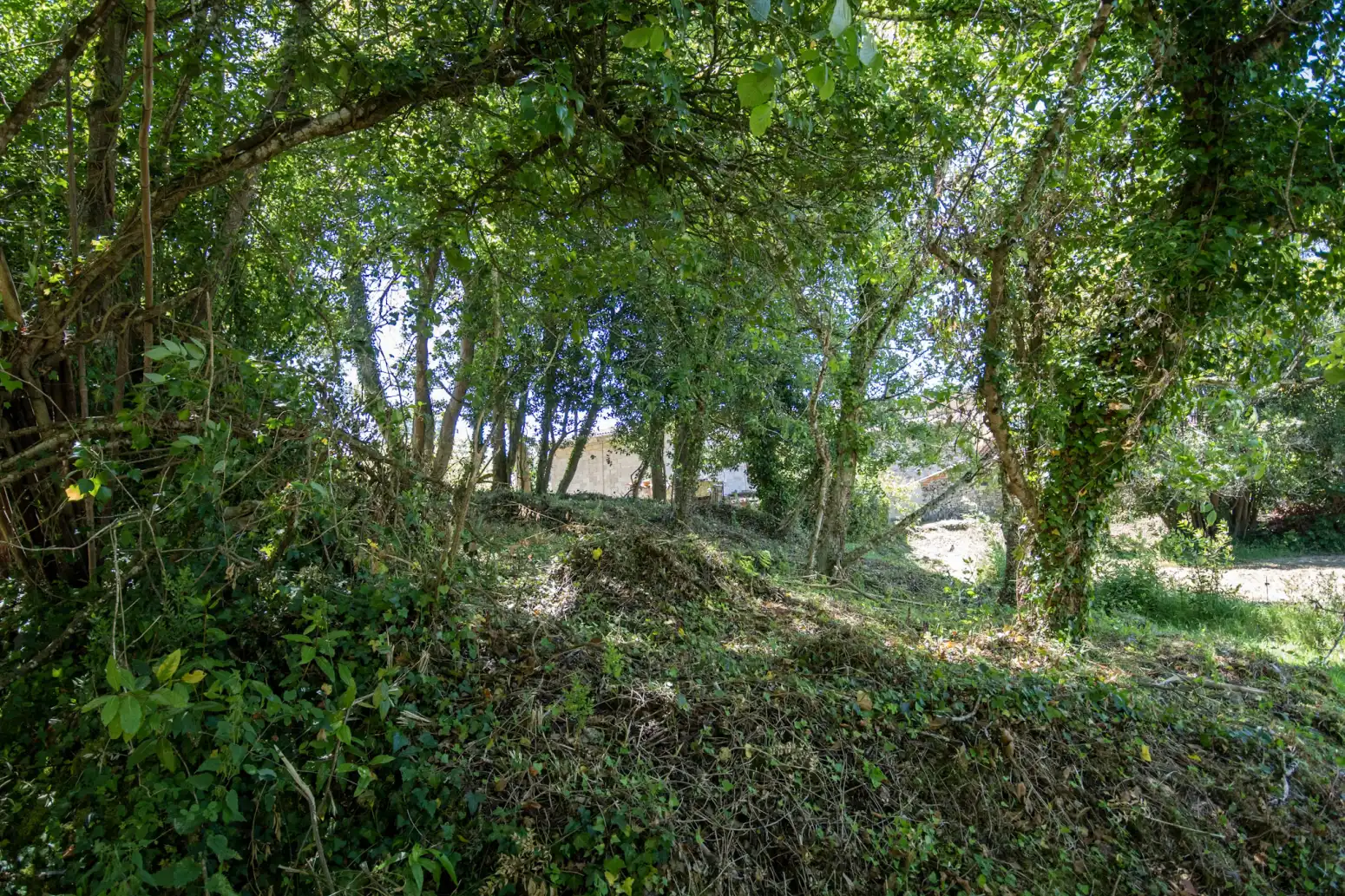 Terreno en venta en Villaviciosa