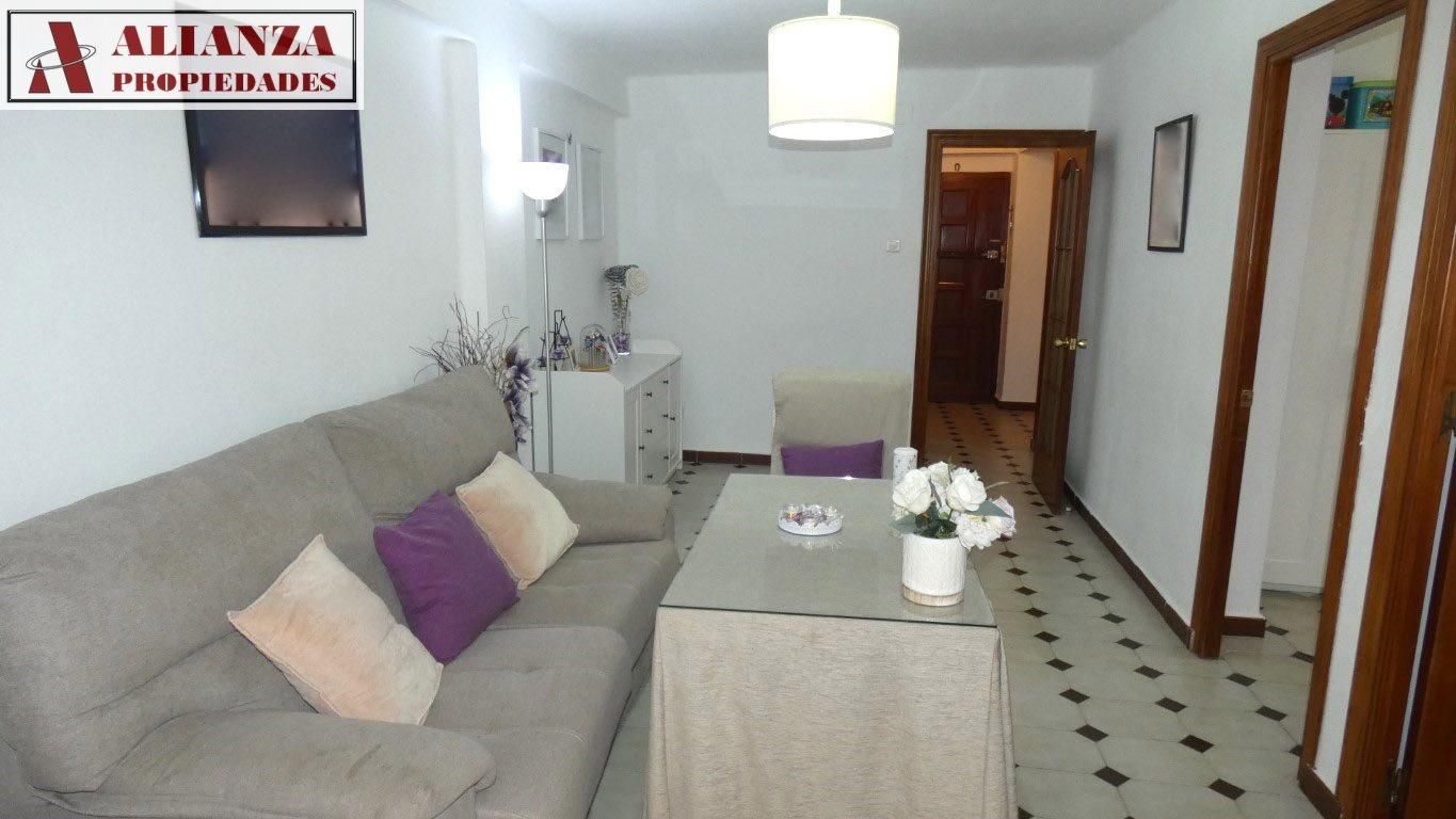 Living room of Flat to rent in Málaga Capital  with Air Conditioner, Terrace and Furnished