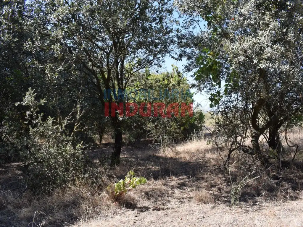 Haus zum Verkauf in Peraleda de la Mata, imagen 15