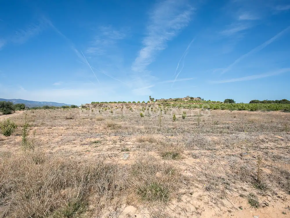 Terrenos y solares en venta en Pedralba, imagen 13