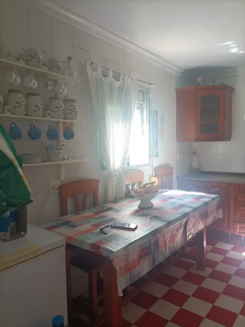 Cuina de Casa o xalet en venda en San Fernando amb Jardí privat