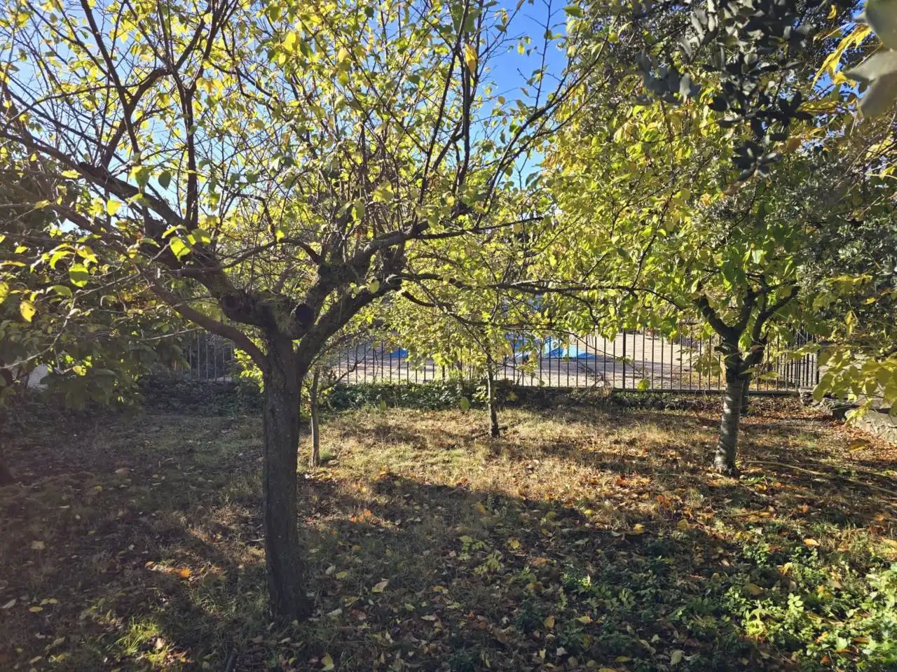 Casa o xalet en venda en Pioz amb Calefacció, Jardí privat i Terrassa