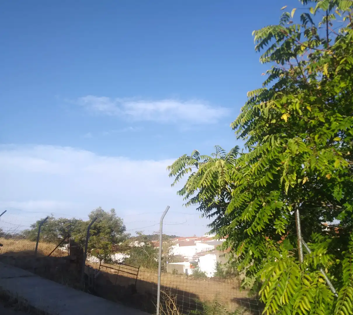 Terreno residenziale in vendita a Jerez de los Caballeros, imagen 4