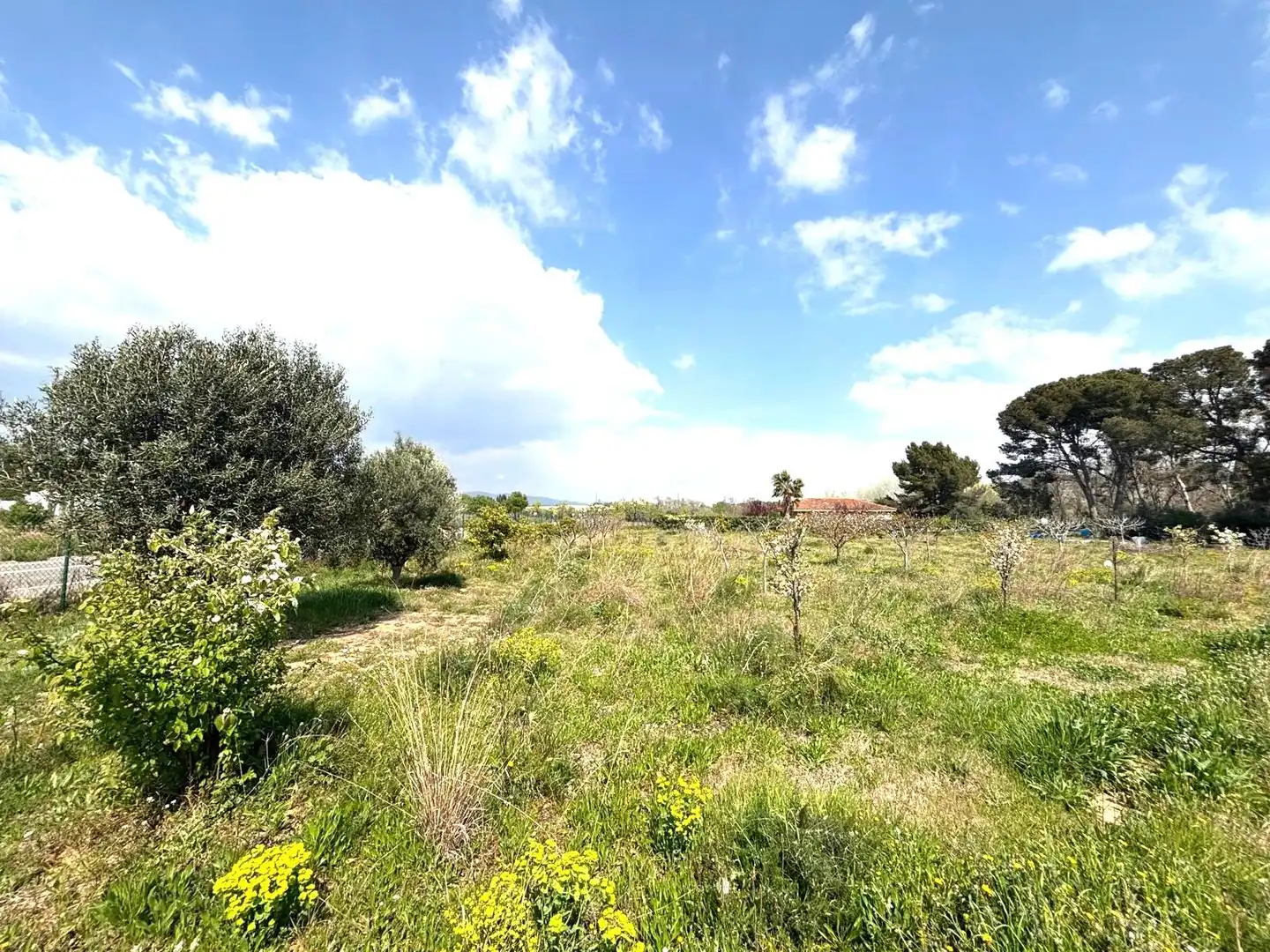 Rural land for sale in Santa Oliva, imagen 4