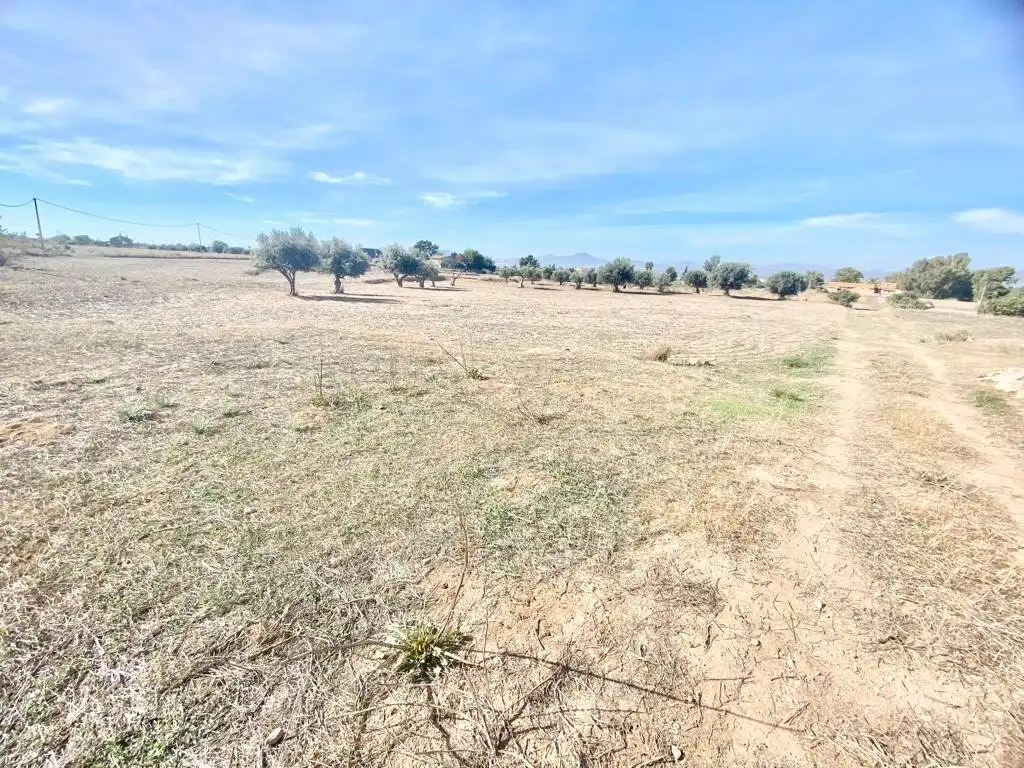 Residential land for sale in Pedanías Sur, imagen 4
