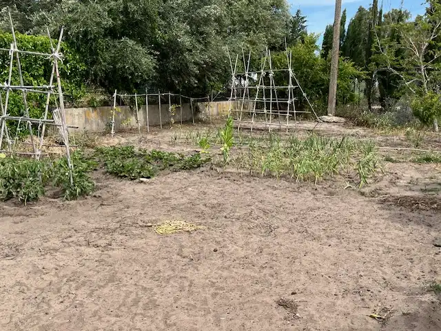 Terreni e lotti in vendita a Zafra, imagen 15
