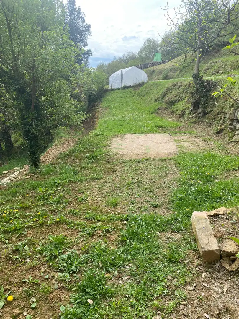Casa o chalet de alquiler en Sant Feliu de Pallerols