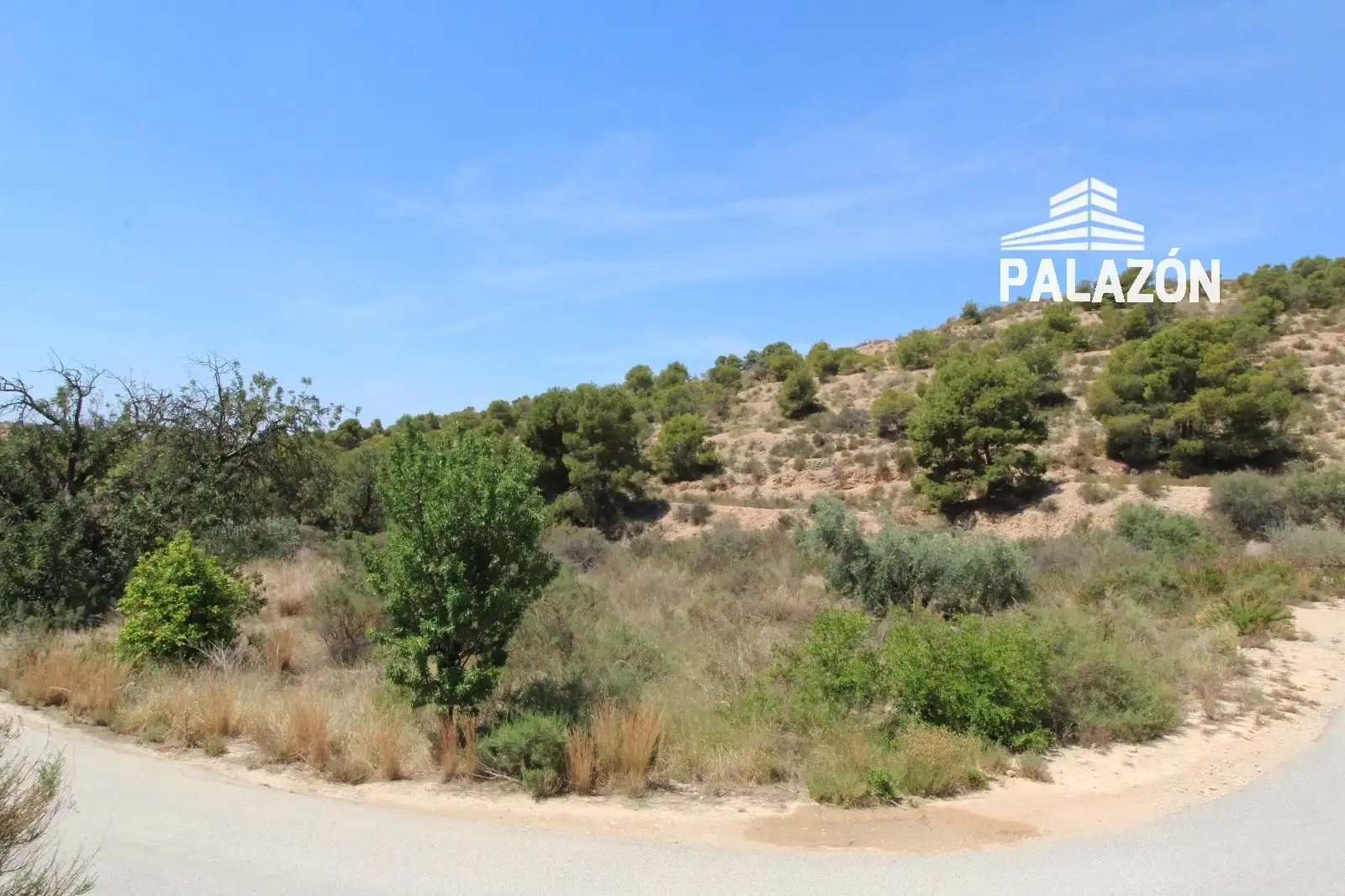 Finca rústica en venta en Crevillent
