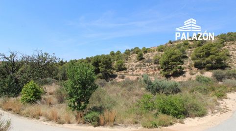Foto 3 de Finca rústica en venta en Crevillent, Alicante