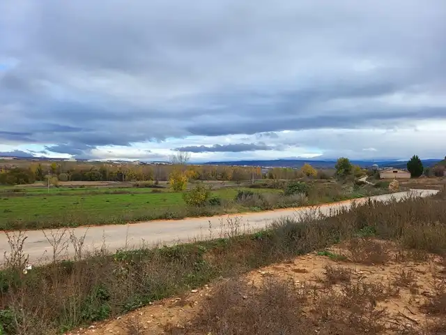 Terreni e lotti in vendita a Pedanías, imagen 3