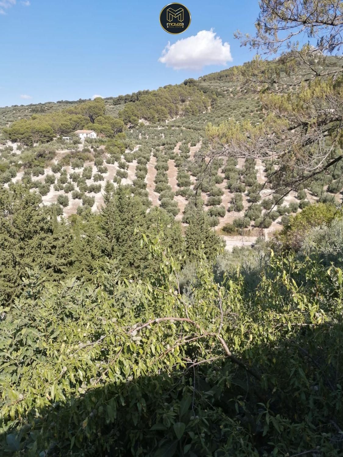 House or chalet for sale in  Jaén Capital  with Air Conditioner