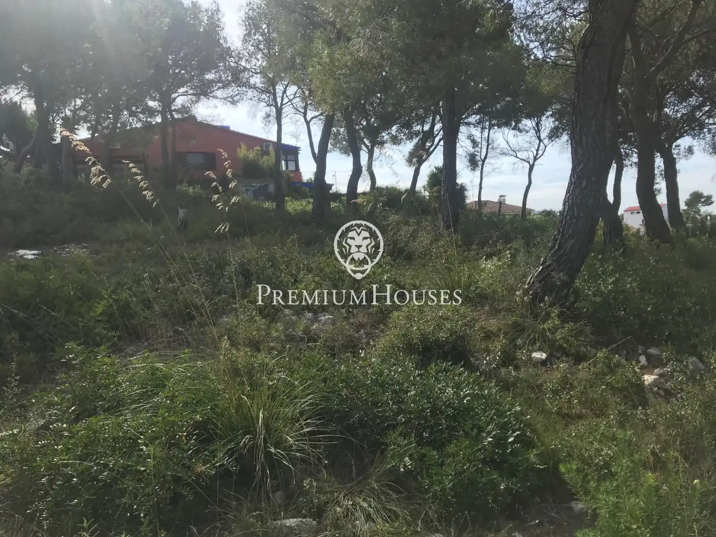 Residential land for sale in Calle La Rosella, imagen 10