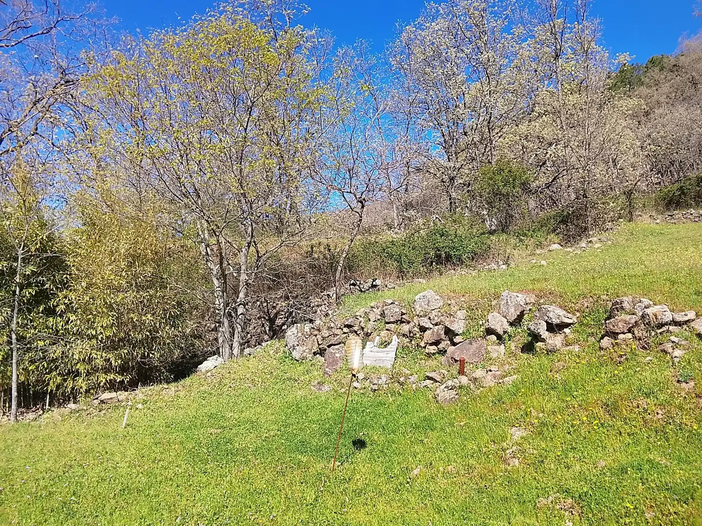 Terreni e lotti in vendita a Candeleda, imagen 54
