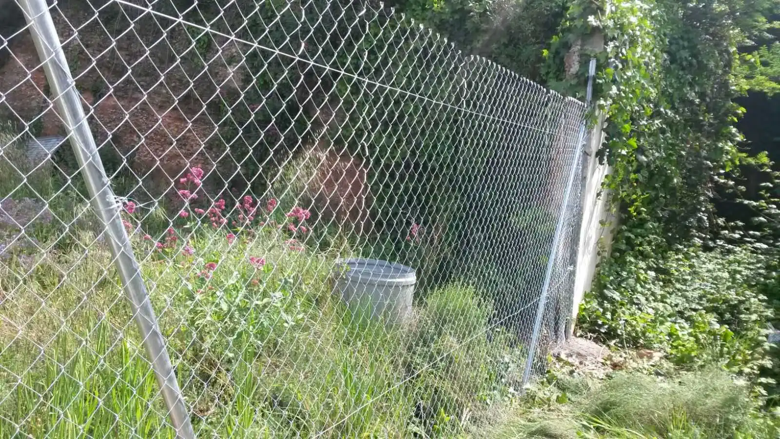 Jardín de Edificio en venta en Cabrera d'Anoia