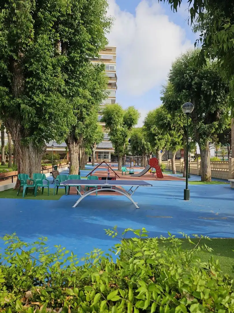 Flat with terrace for sale in Avenida Avenida Holanda 20, imagen 31