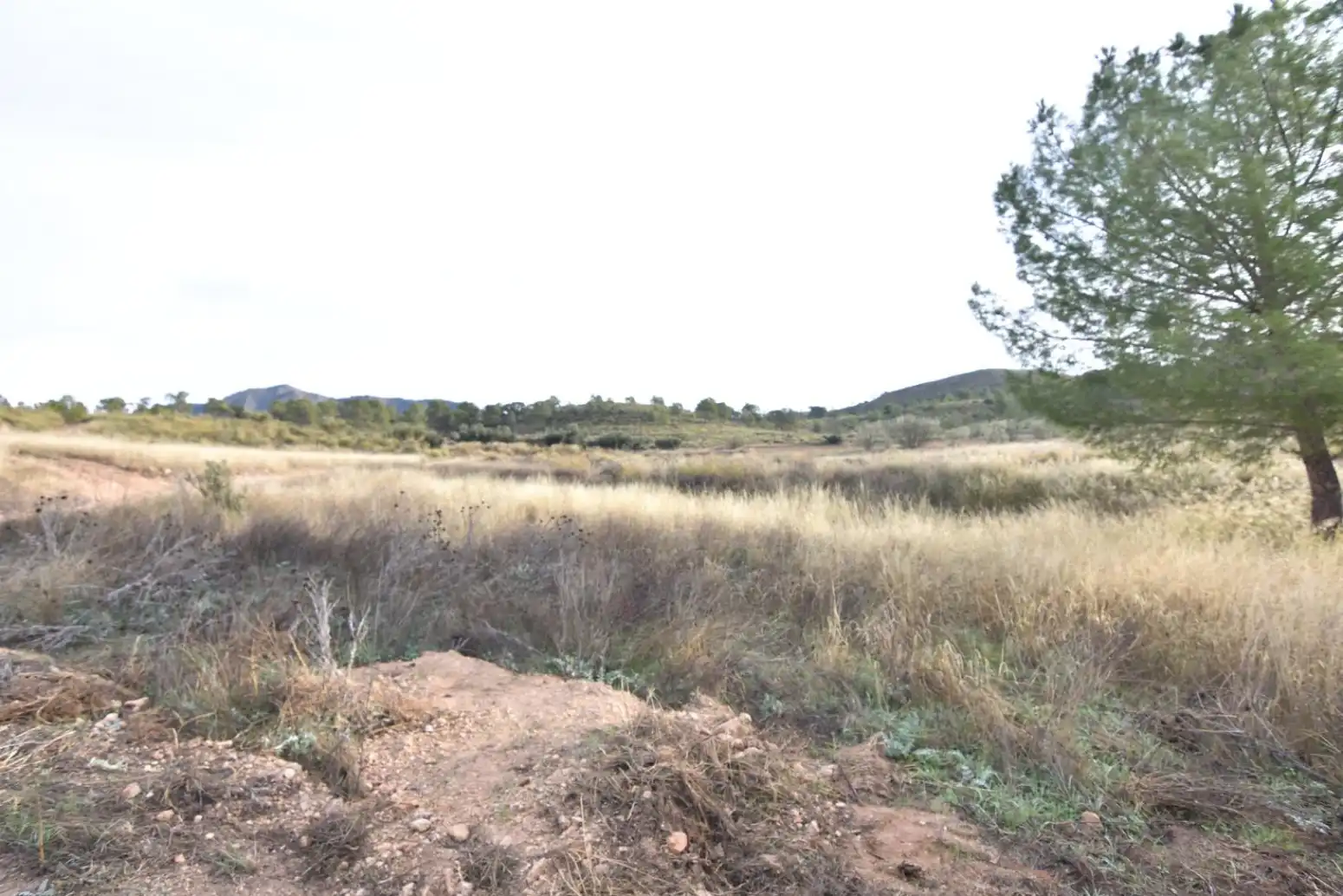 Casa o chalet en venta en Liétor - casa de la rambla Lietor, Liétor