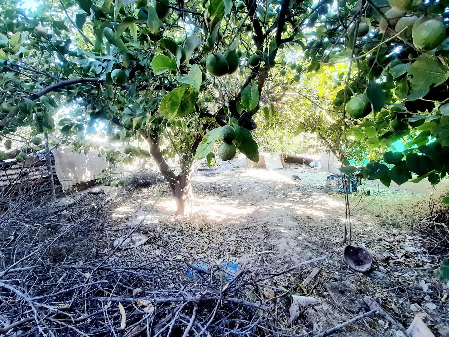 Casa rústica amb jardí en venda a Alguazas, imagen 22