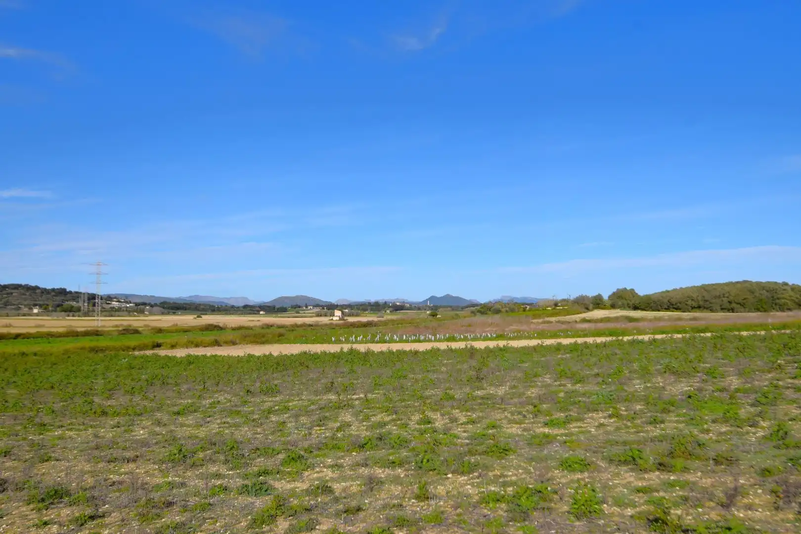 Residential land for sale in Muro, imagen 8