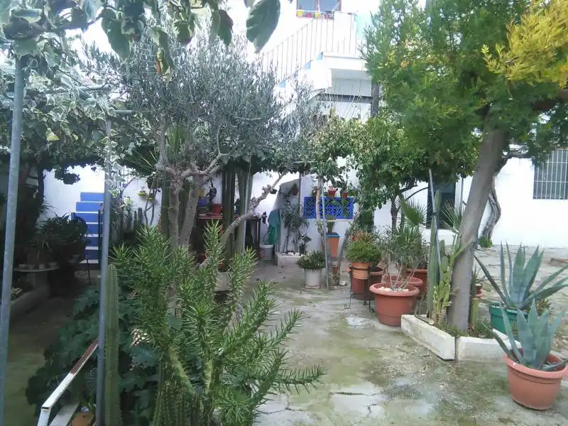 Garden of Flat for sale in Belmez  with Private garden, Terrace and Storage room