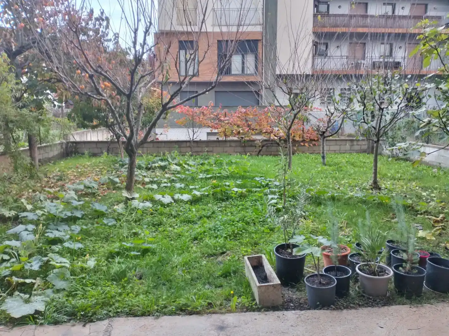 Wohnung zur Miete in La Vall d'en Bas mit Privatgarten, Abstellraum und Möbliert