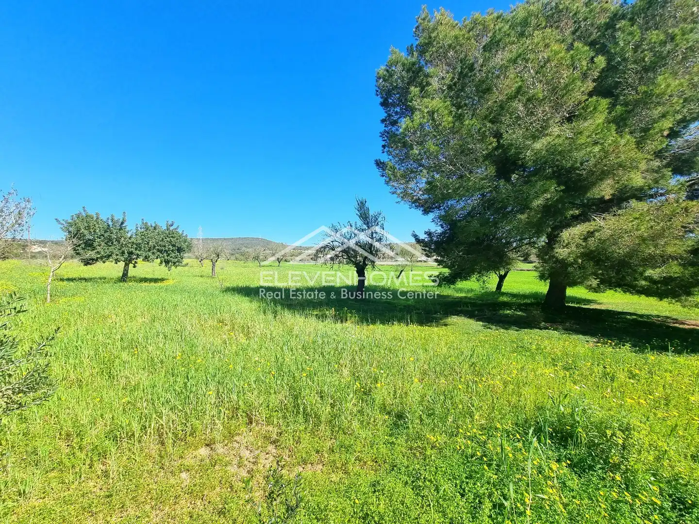 Finca rústica en venda en  Palma de Mallorca amb Traster i Piscina