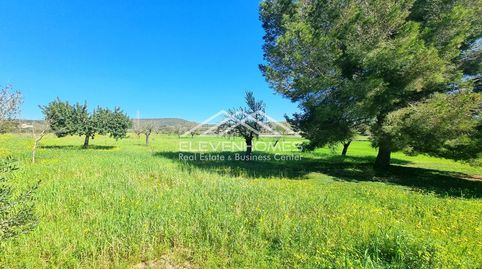 Foto 4 de Finca rústica en venda a Sa Casa Blanca, Palma de Mallorca