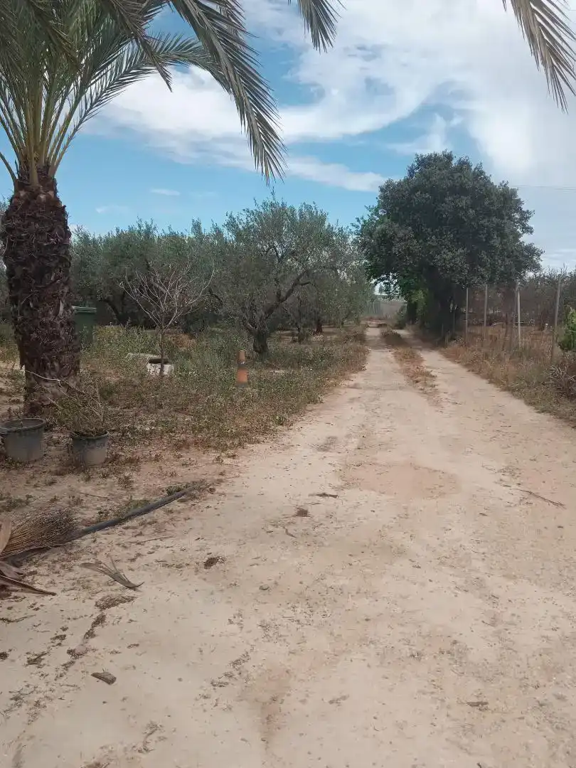 Casa o xalet en venda en Aznalcázar