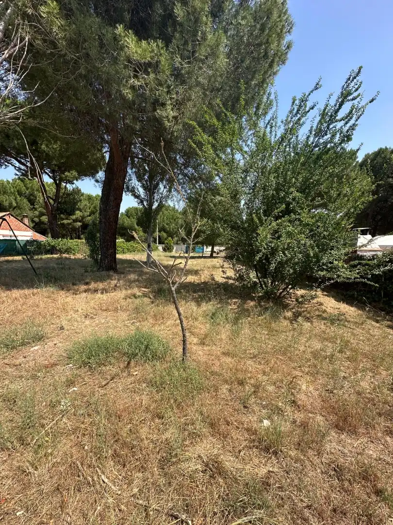 Finca rústica en venda en Traspinedo amb Jardí privat i Piscina