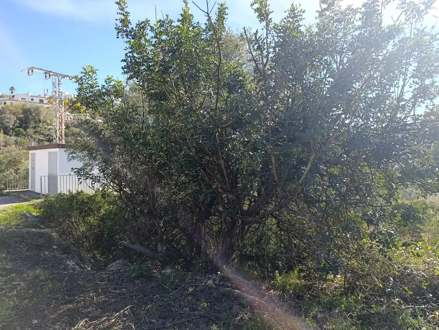 Wohnbaugrundstück zum Verkauf in El Ràfol d'Almúnia, imagen 3