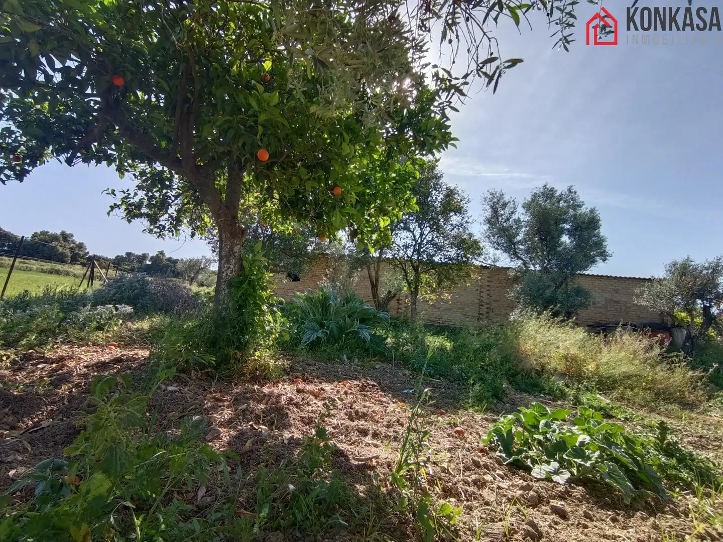 Casa rústica en venda a Arcos de la Frontera, imagen 29