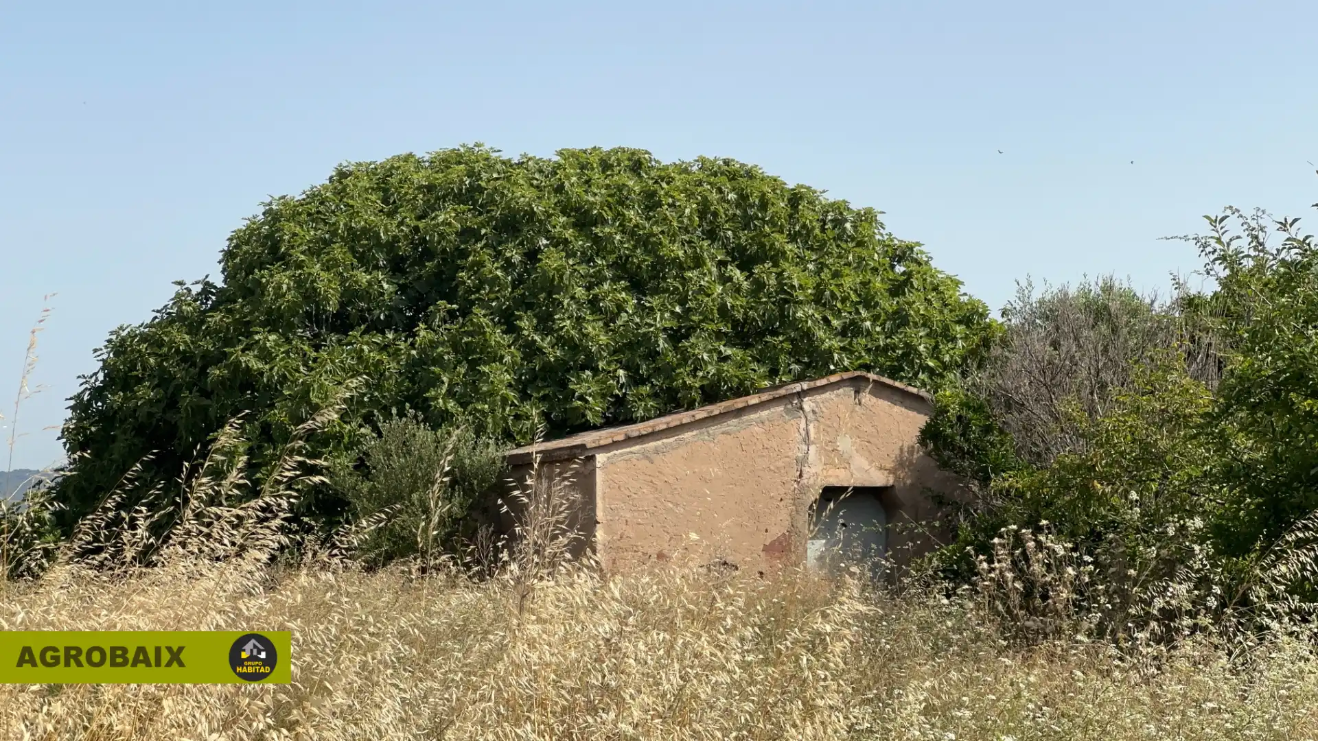 Rural land for sale in Vinyets - Molí Vell, imagen 13