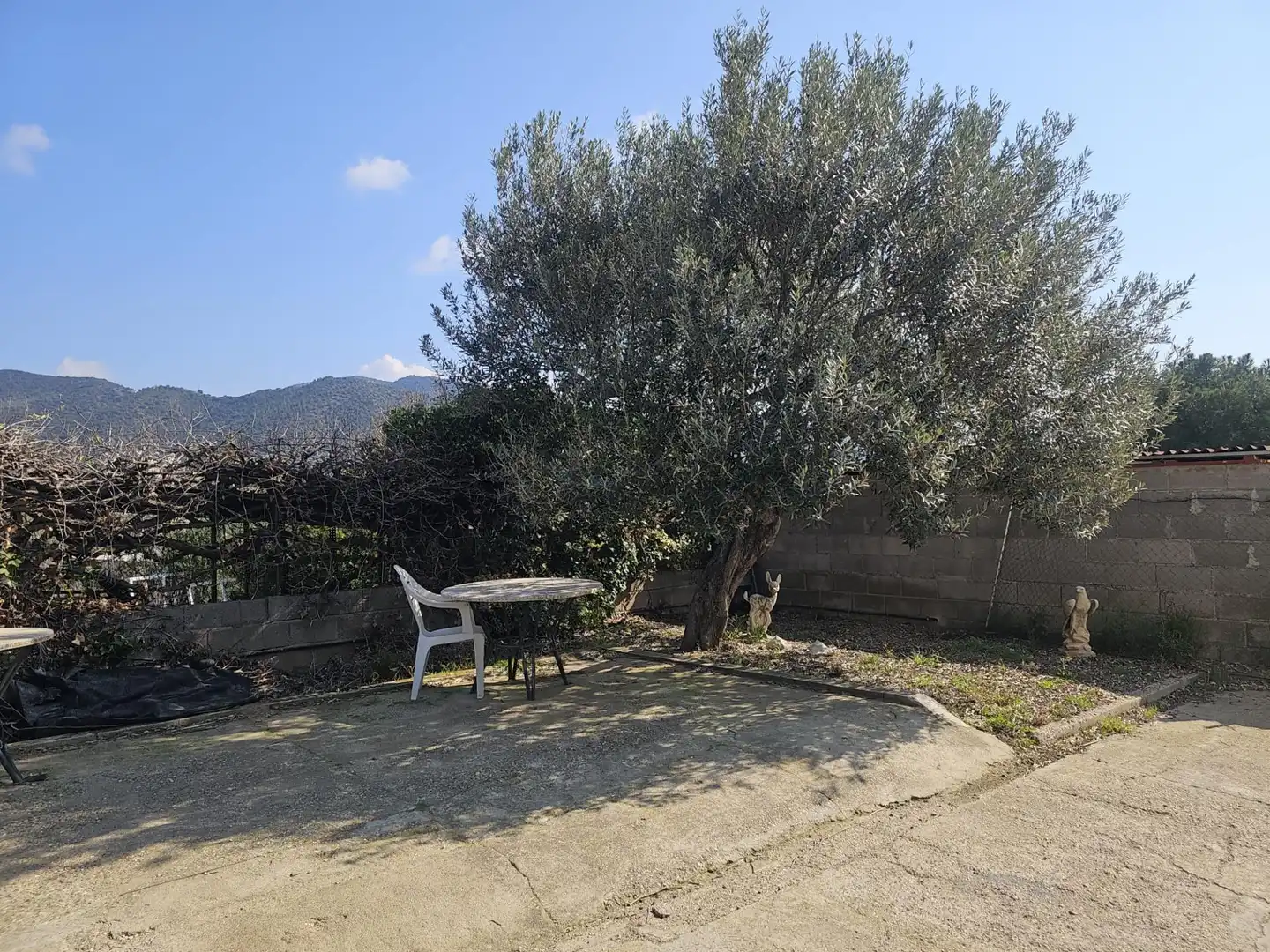 Jardín de Casa o chalet en venta en Esparreguera con Jardín privado, Terraza y Piscina