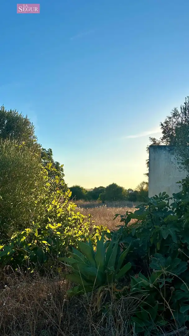 Casa rústica con piscina en venta en Pelagatos - Pago del Humo, imagen 38