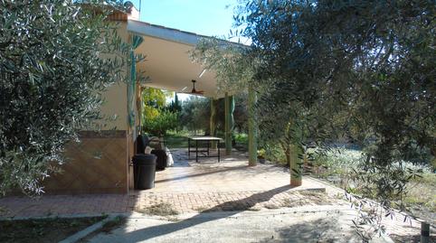 Foto 5 de Finca rústica en venta en Calle Sector Zep, 194, El Pino, Molina de Segura