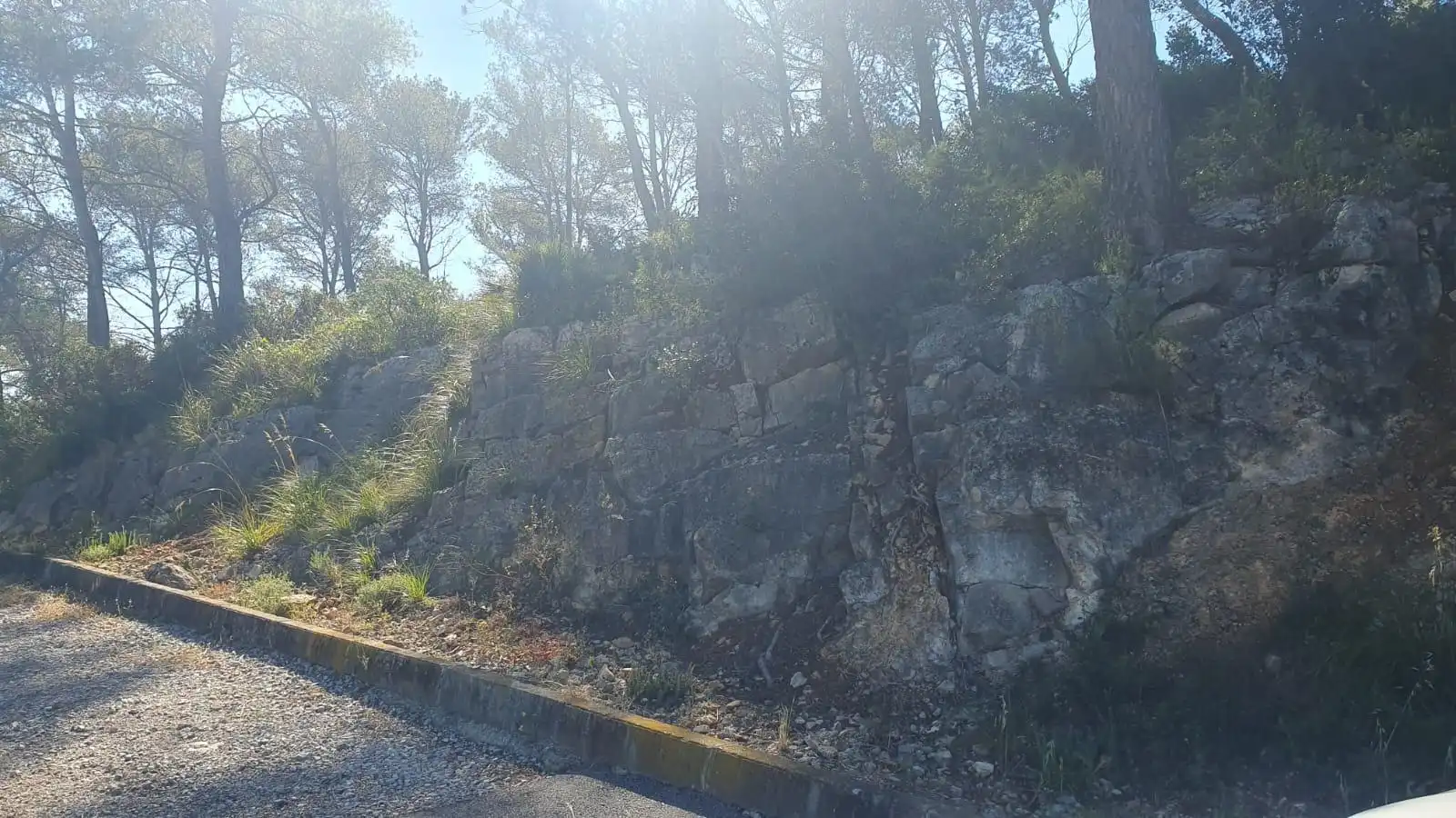 Residential land for sale in Canyelles, imagen 5