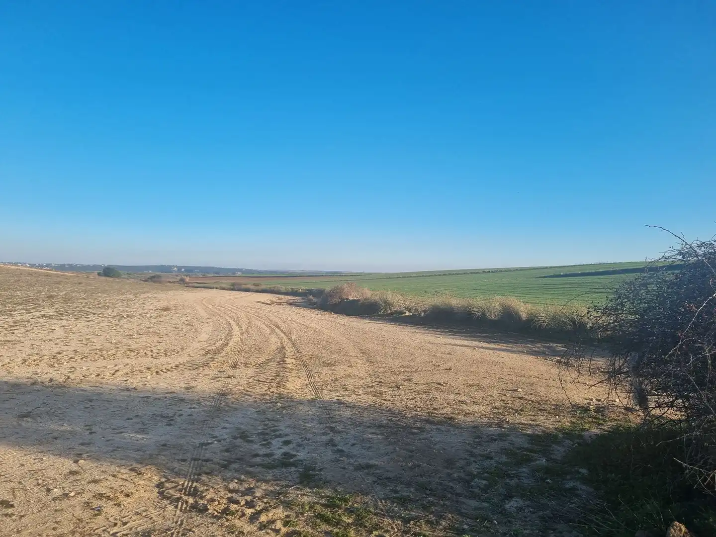 Rural land for sale in El Álamo, imagen 2