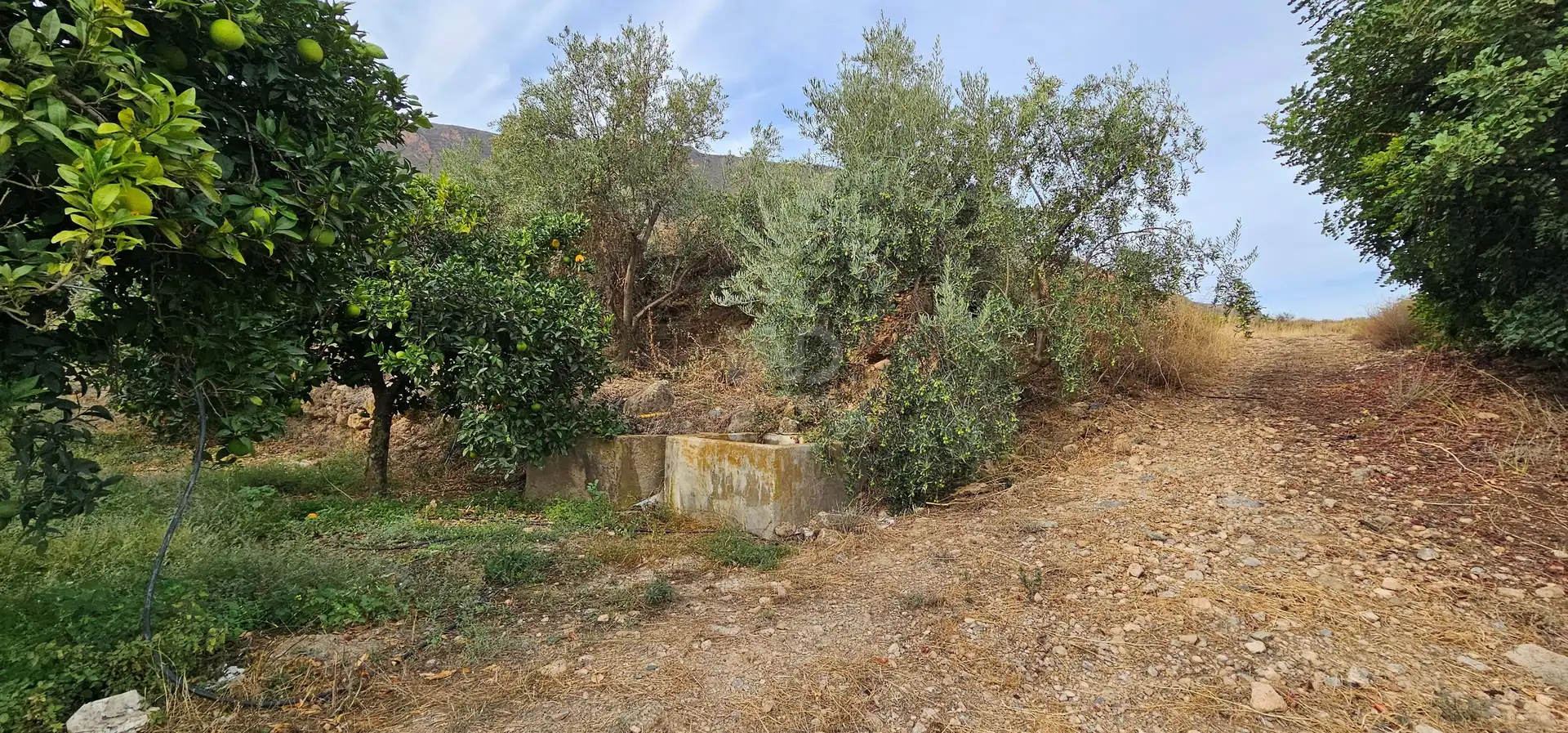 Residencial en venta en Íllar