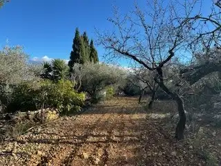 Terreno rustico in vendita a Cabanes, imagen 10