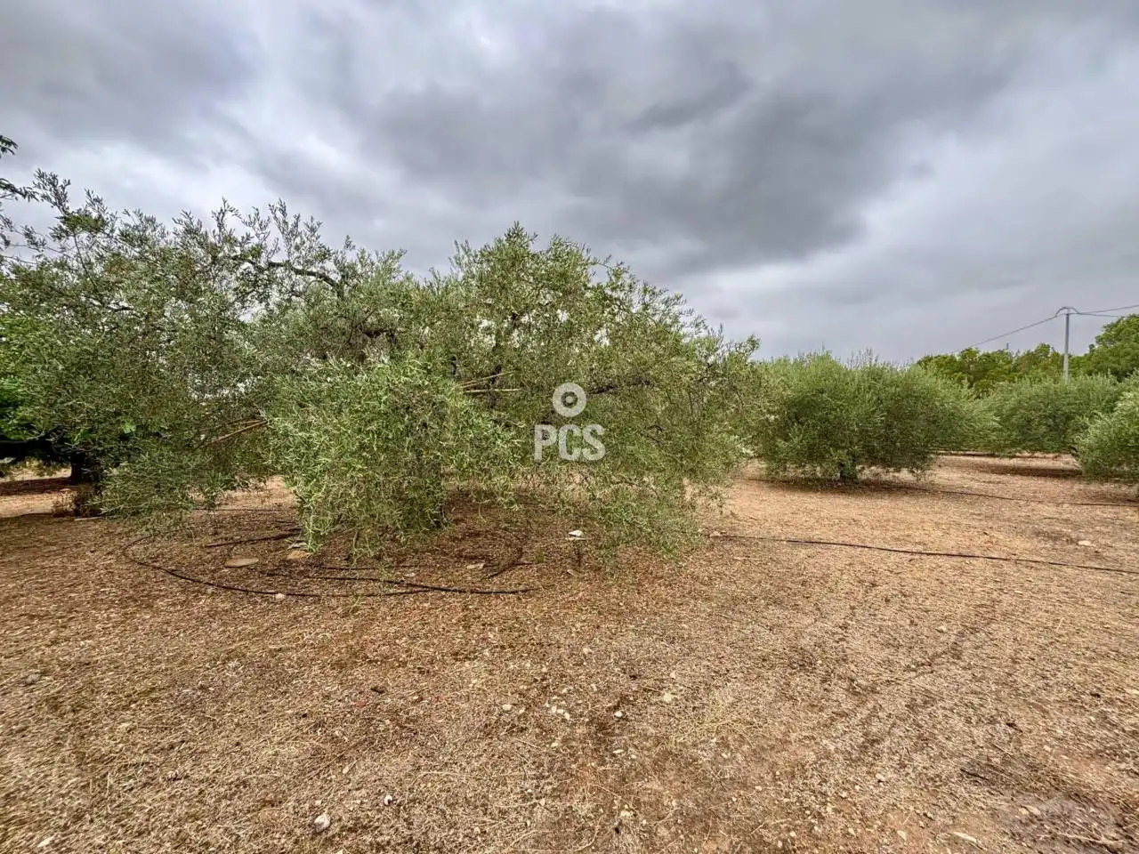 Casa o chalet en venta en Aledo con Jardín privado