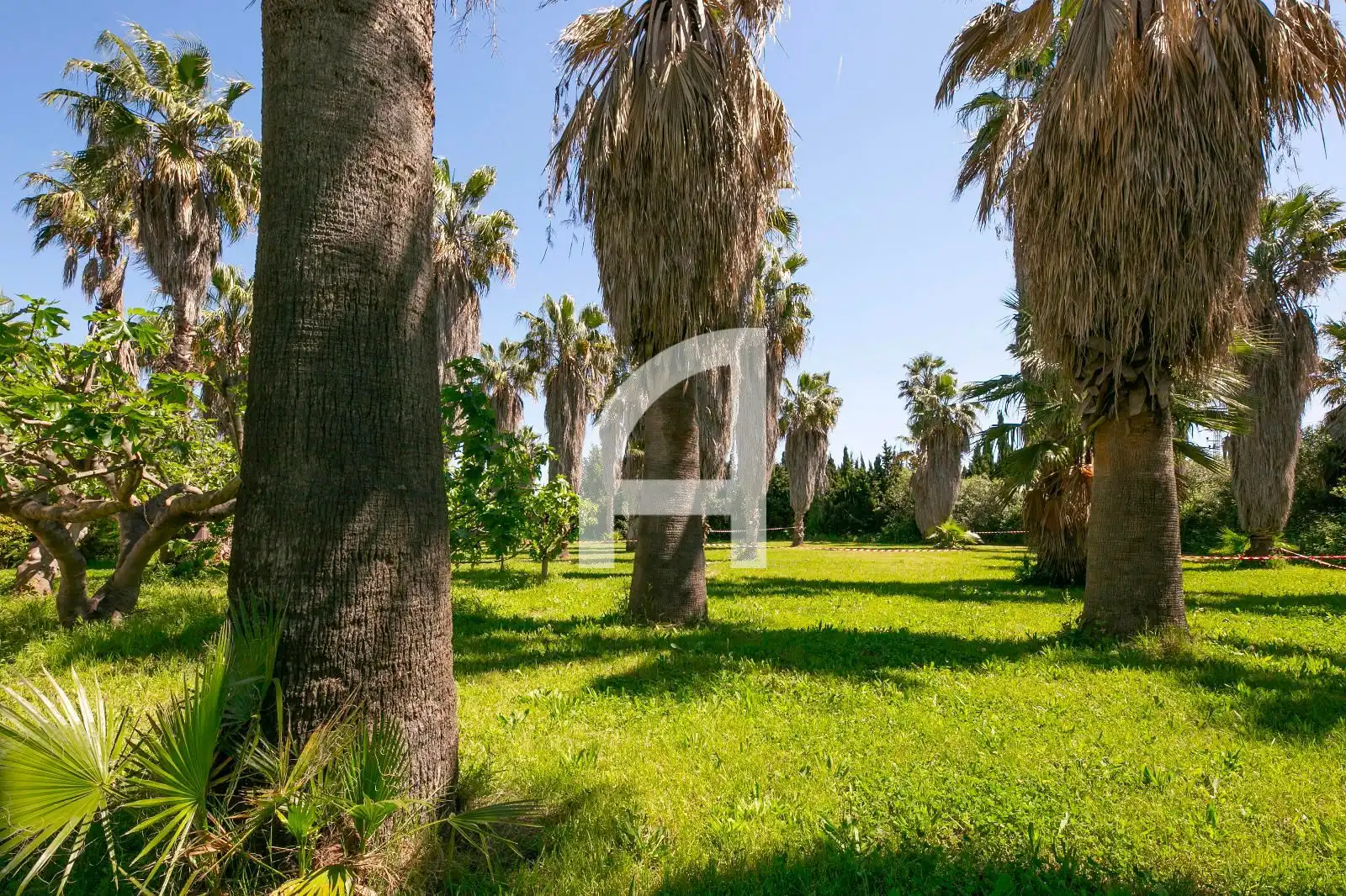 Finca rústica en venta en Sant Boi de Llobregat con Terraza y Trastero