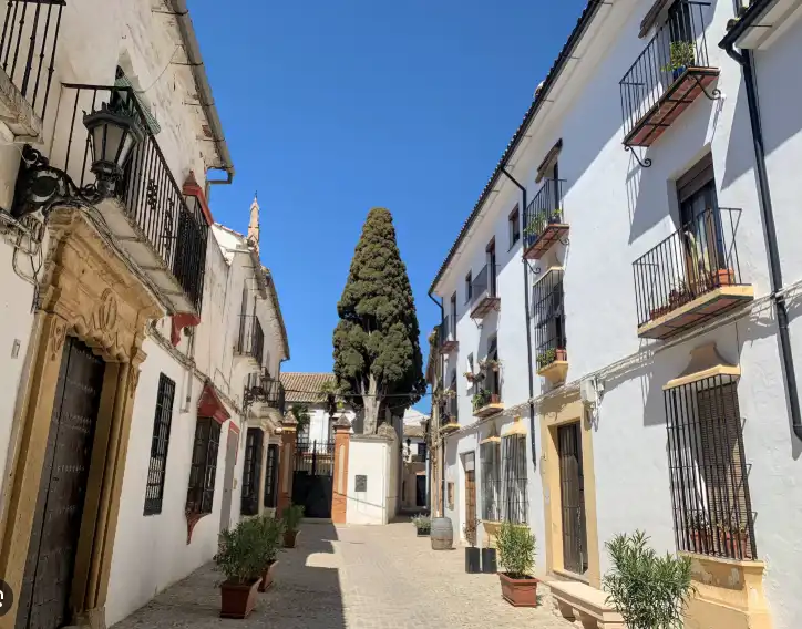 Piso en venta en C/ Doctor Castilla del Pino,  Pl. ªE Bª del Olivar Monjas, imagen 4