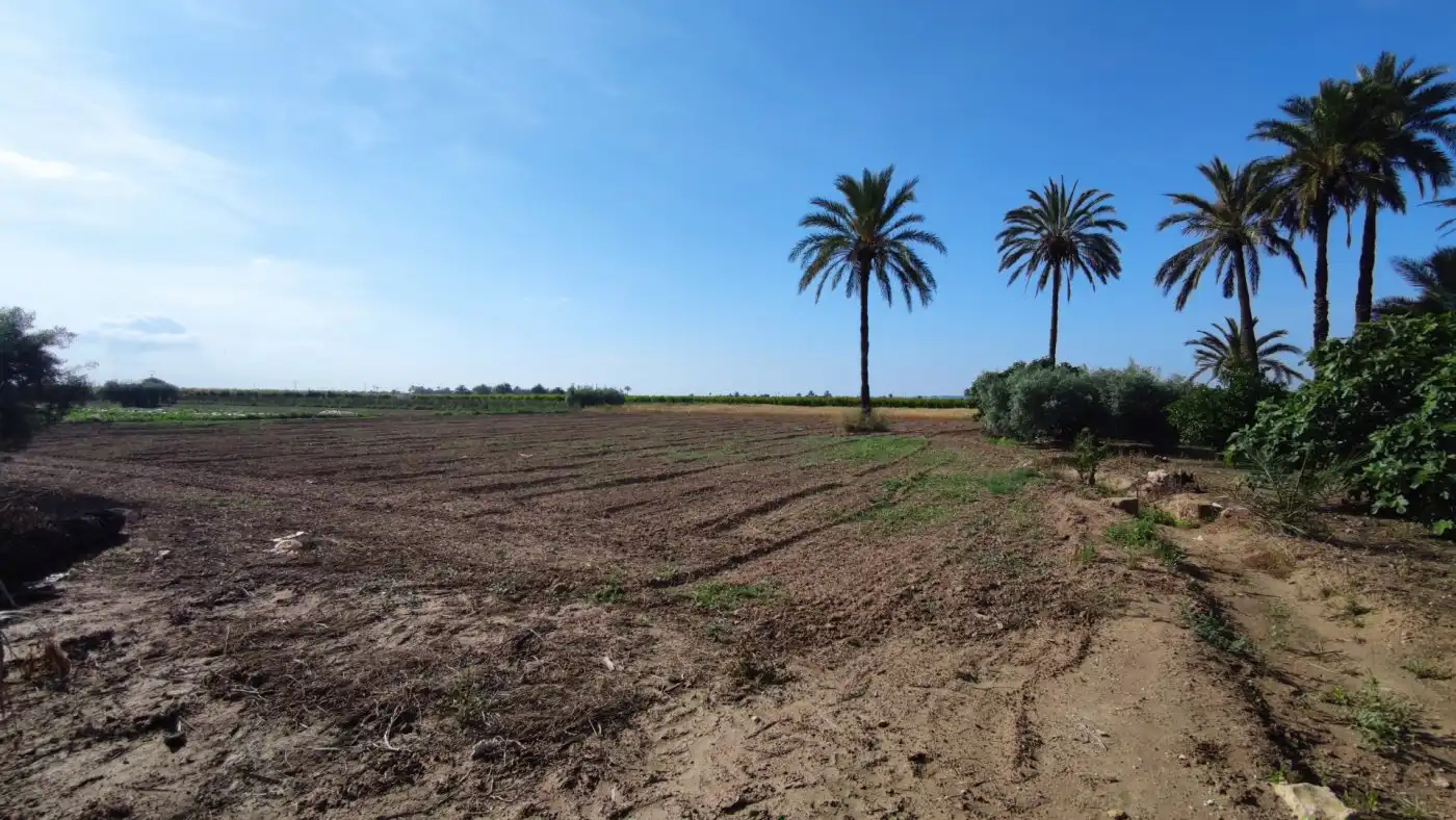 Villa con giardino in vendita a La Foia - Daimés - Asprella, imagen 16