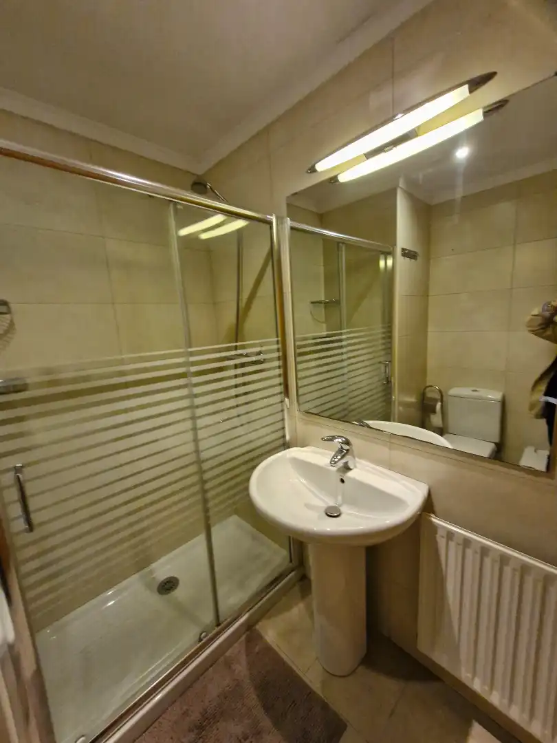 Badezimmer von Wohnung zur Miete in Leioa mit Heizung, Parkett und Möbliert