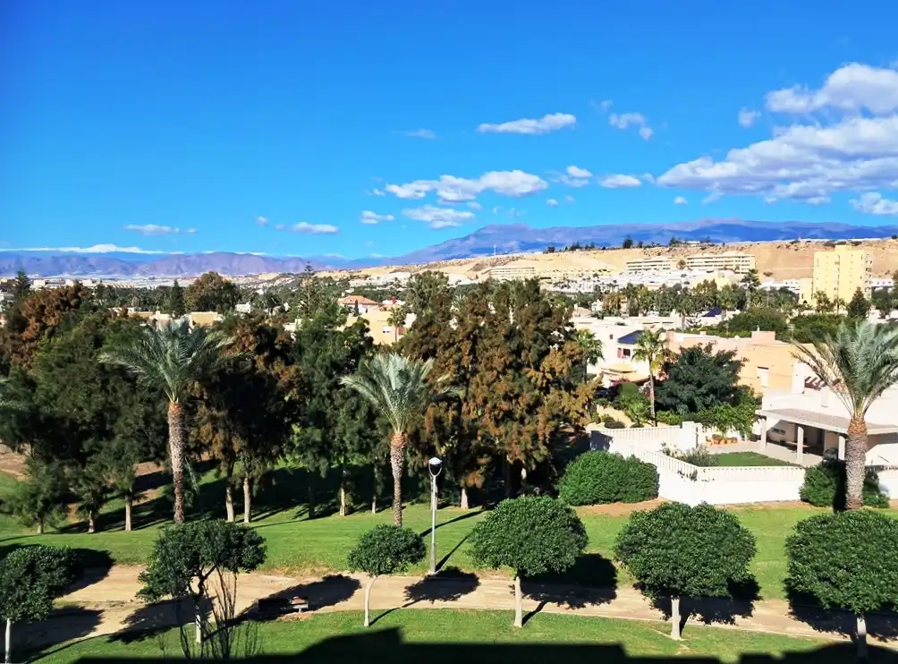 Vista exterior de Estudi en venda en El Ejido amb Terrassa, Moblat i Piscina comunitària